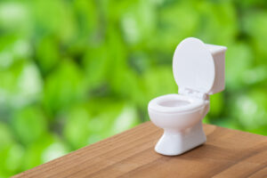 トイレに関する悩みが出てきたら？ 負担軽減のポイントと具体策を徹底解説！