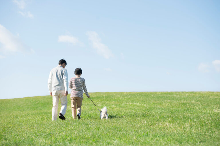 ペットロスを乗り越える、心の整理のしかた